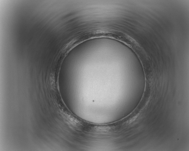 X0000062890825200601271645