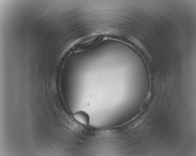 X0000062890826200601271645