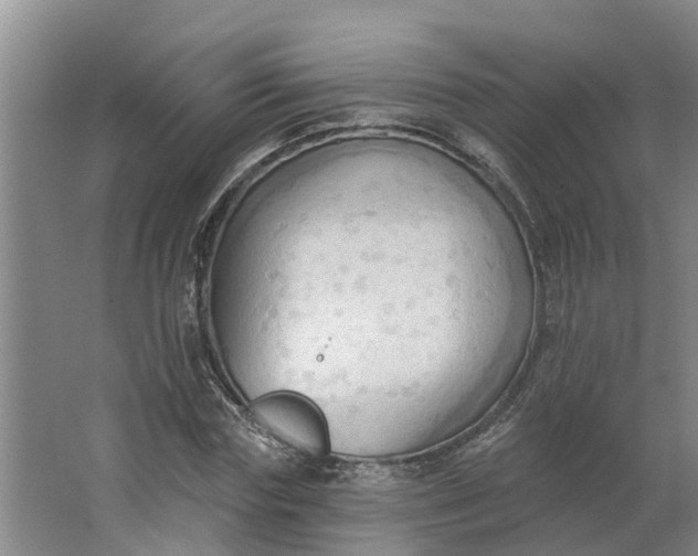 X0000062890827200601271645