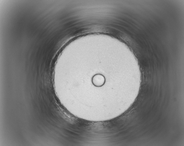 X0000062890828200601271645