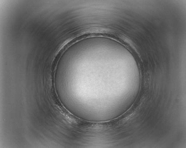 X0000062890829200601271645