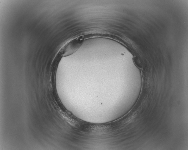 X0000062890830200601271645