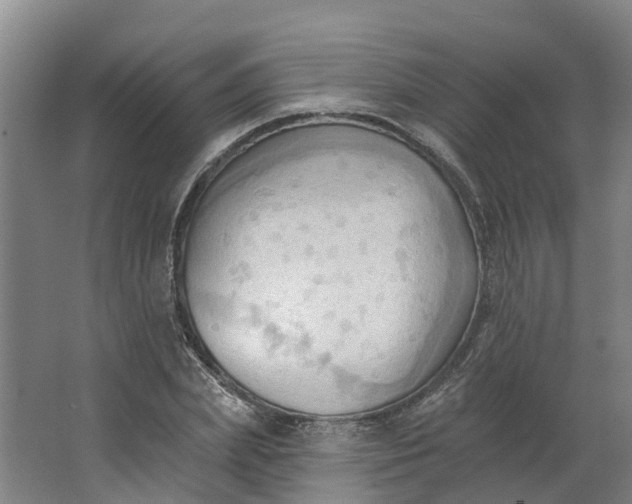 X0000062890831200601271645