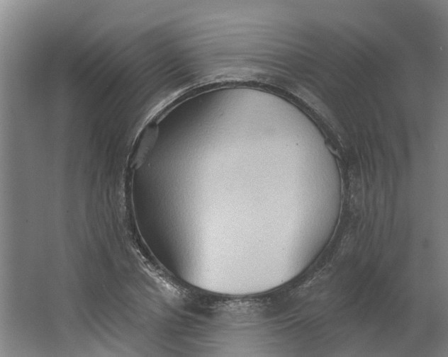 X0000062890834200601271645