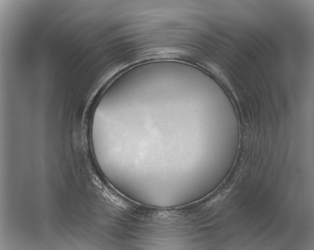 X0000062890835200601271645