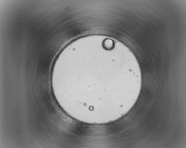 X0000062890836200601271645