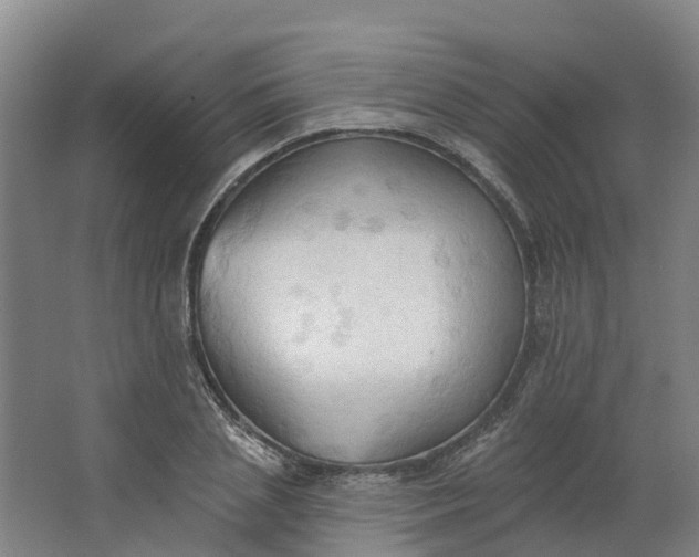 X0000062890837200601271645