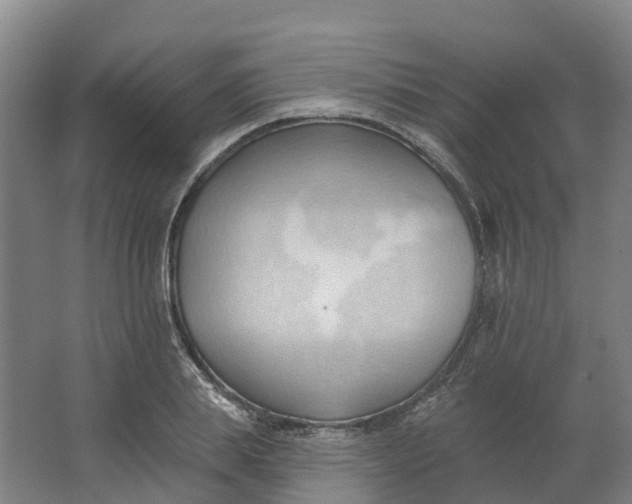 X0000062890839200601271645