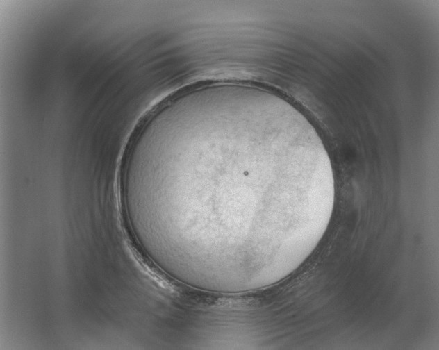 X0000062890840200601271645