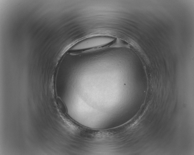 X0000062890842200601271645