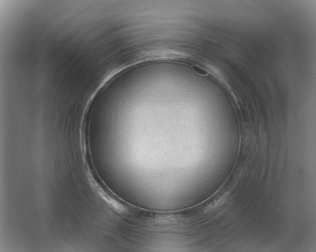 X0000062890843200601271645