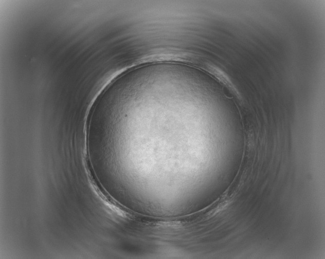 X0000062890844200601271645