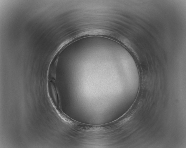 X0000062890845200601271645