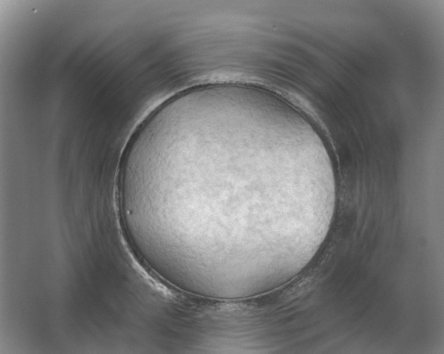 X0000062890847200601271646