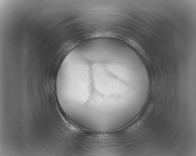 X0000062890849200601271646