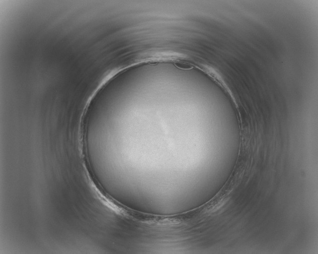 X0000062890851200601271646