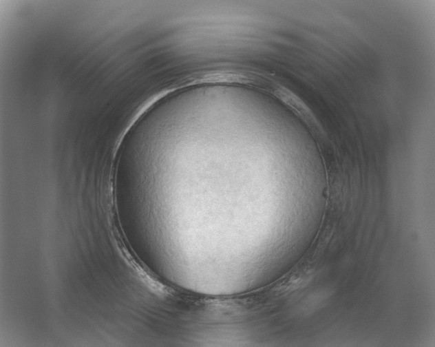 X0000062890852200601271646