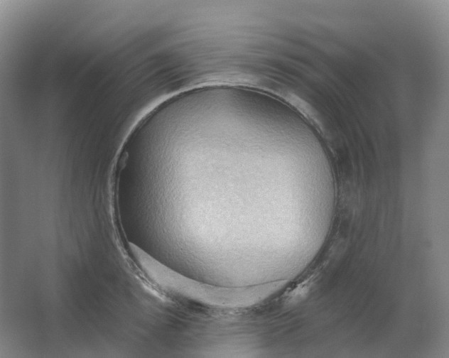 X0000062890854200601271646