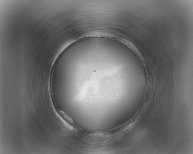 X0000062890855200601271646