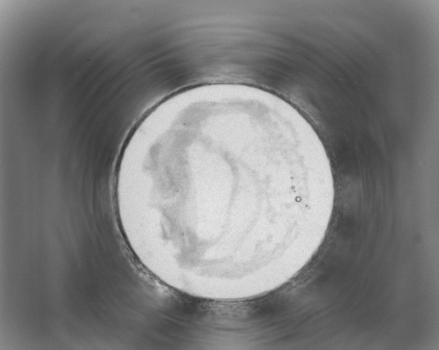 X0000062890856200601271646