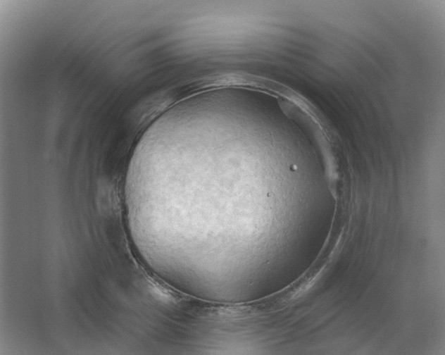 X0000062890857200601271646