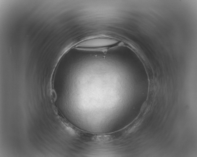 X0000062890858200601271646