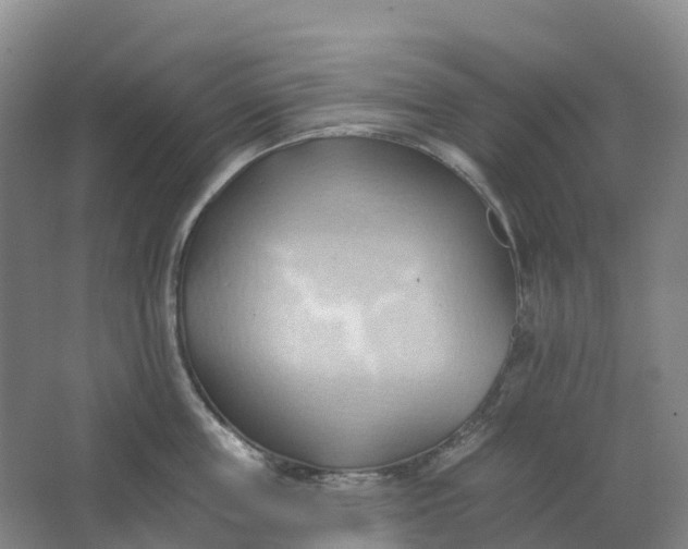 X0000062890859200601271646