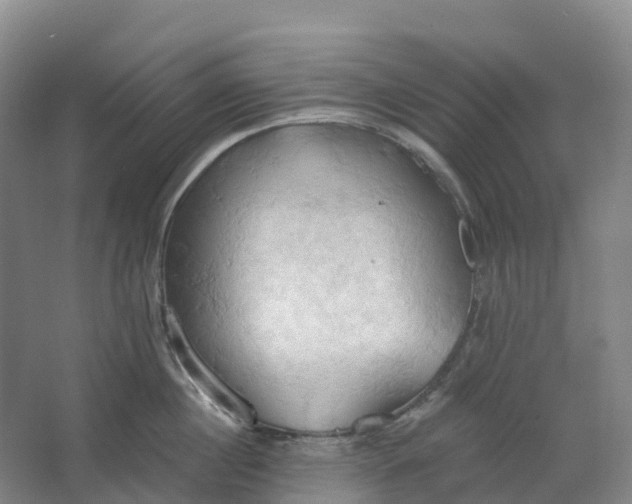 X0000062890860200601271646