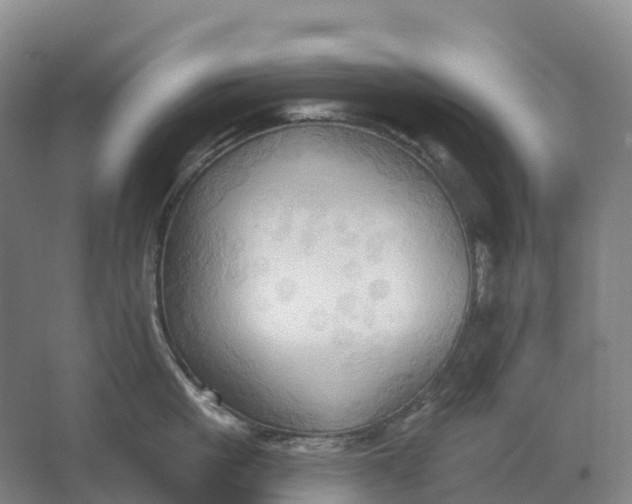 X0000062890861200601271646