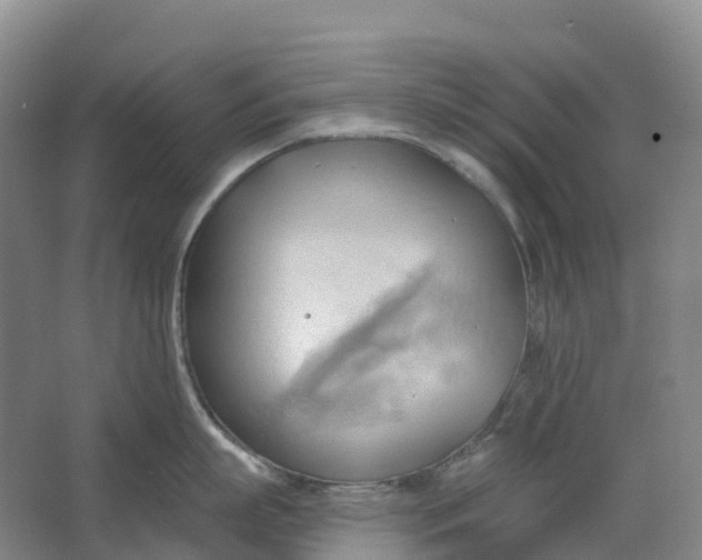 X0000062890863200601271646