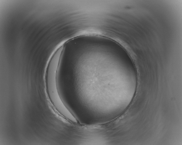 X0000062890864200601271646