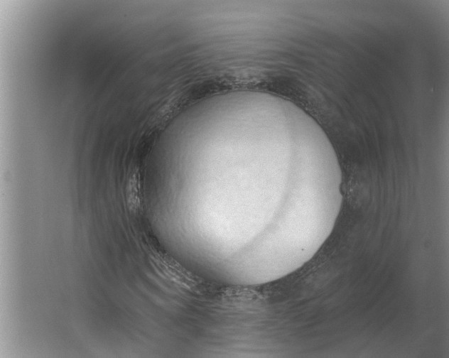 X0000062890866200601271645