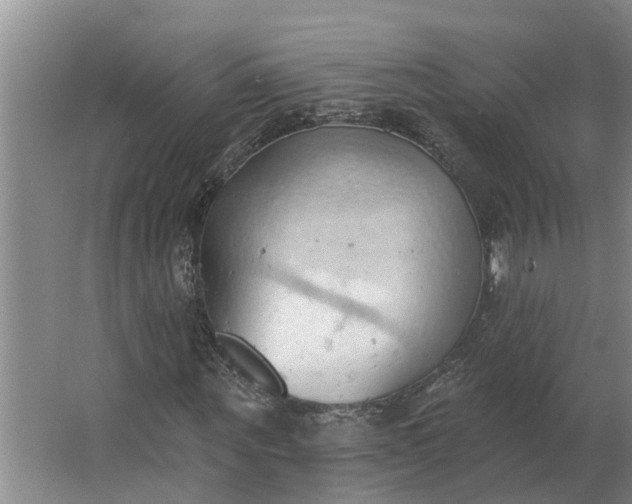 X0000062890867200601271645