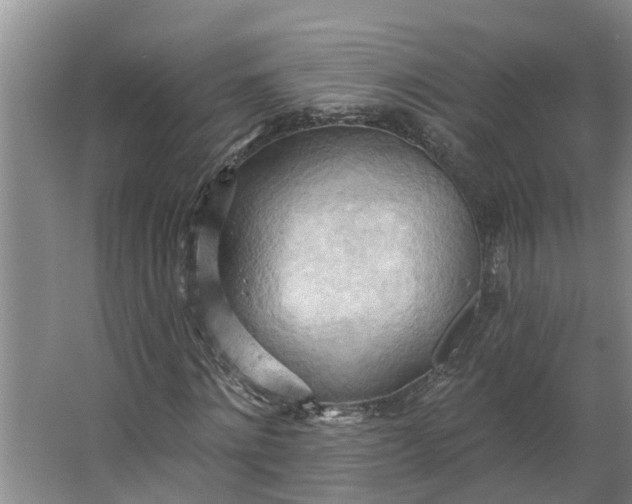 X0000062890868200601271645