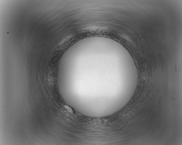 X0000062890869200601271645