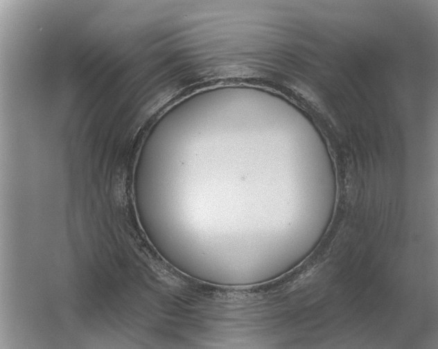 X0000062890873200601271645