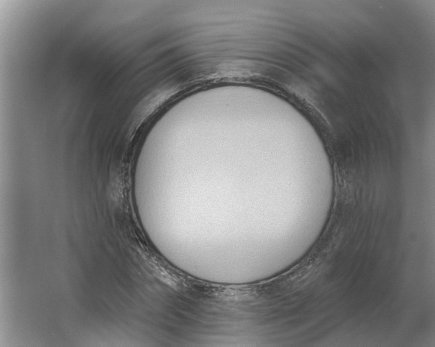 X0000062890874200601271645