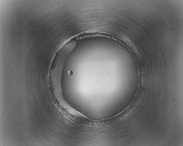 X0000062890876200601271645