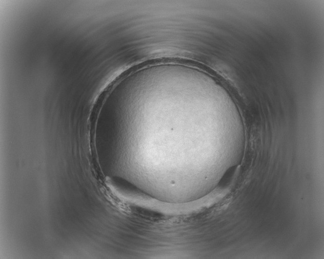 X0000062890877200601271645