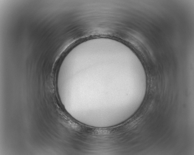 X0000062890878200601271645