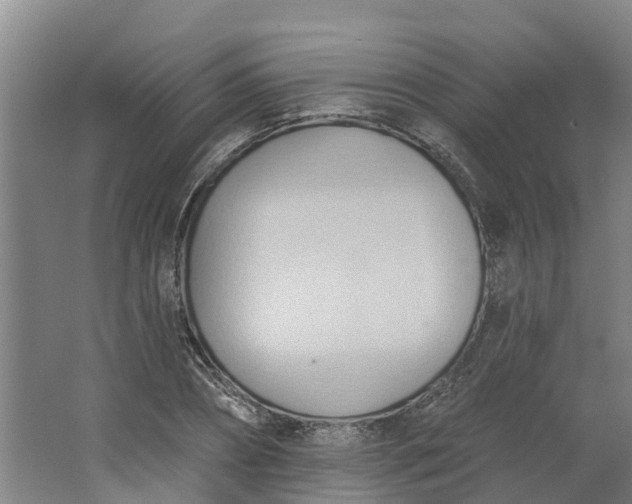 X0000062890882200601271645