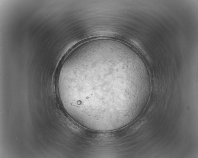 X0000062890883200601271645