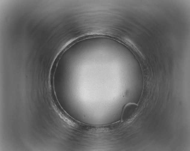 X0000062890884200601271645