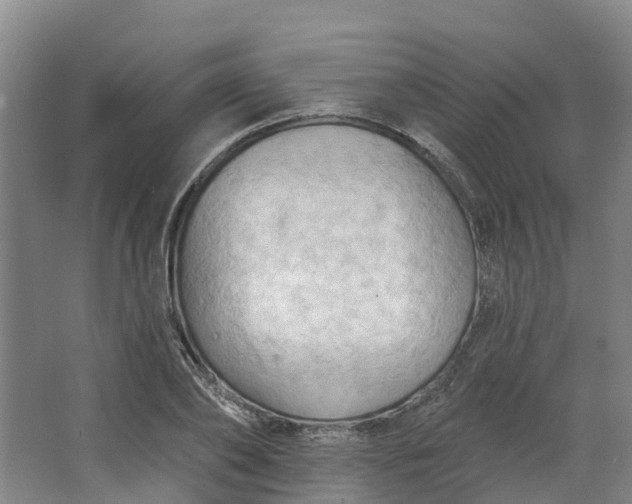 X0000062890886200601271645