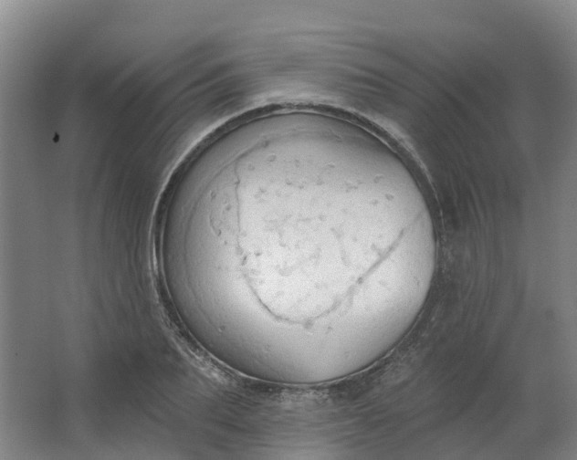 X0000062890887200601271645