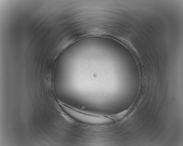 X0000062890889200601271645