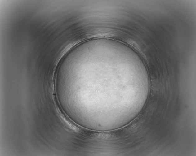 X0000062890890200601271645