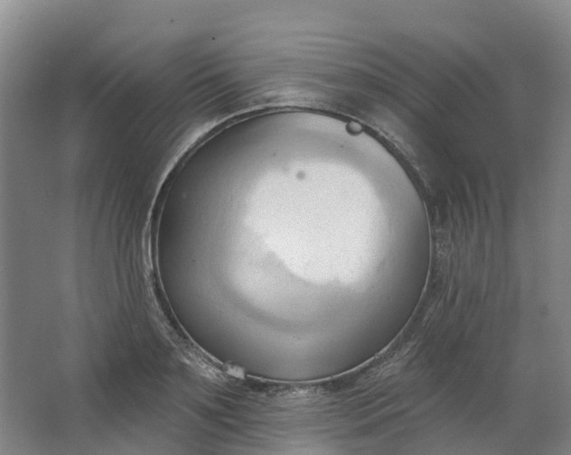 X0000062890891200601271645