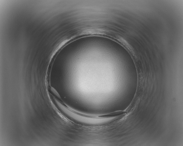 X0000062890893200601271645