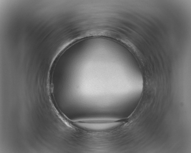 X0000062890894200601271645